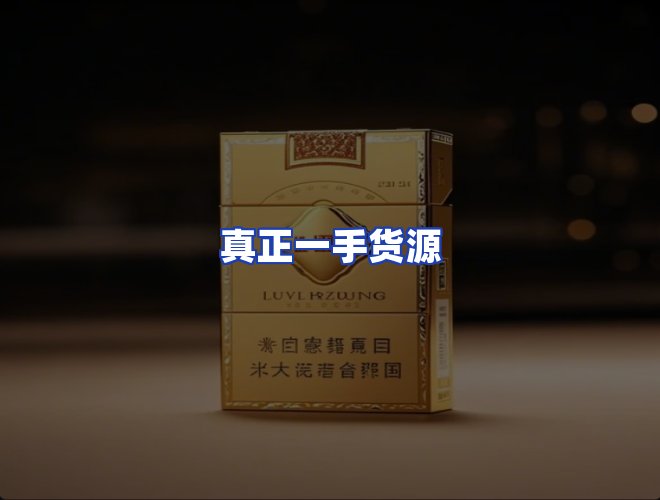 专业团队